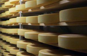 Did you know cheese has a long shelf life?