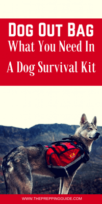 Dog survival kit