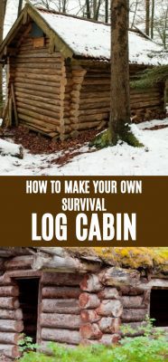How To Build Your Own Survival Log Cabin In Five Steps