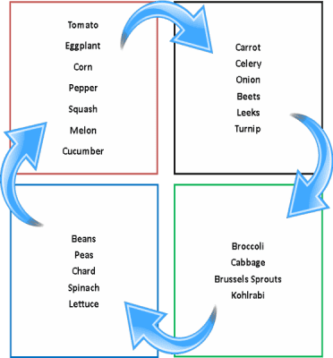 Plant cycle