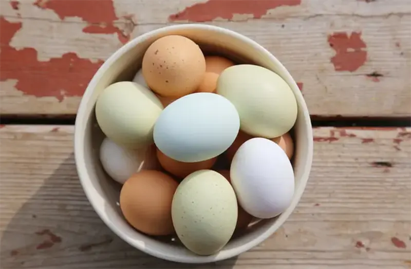 How Long Can You Store Fresh Eggs?