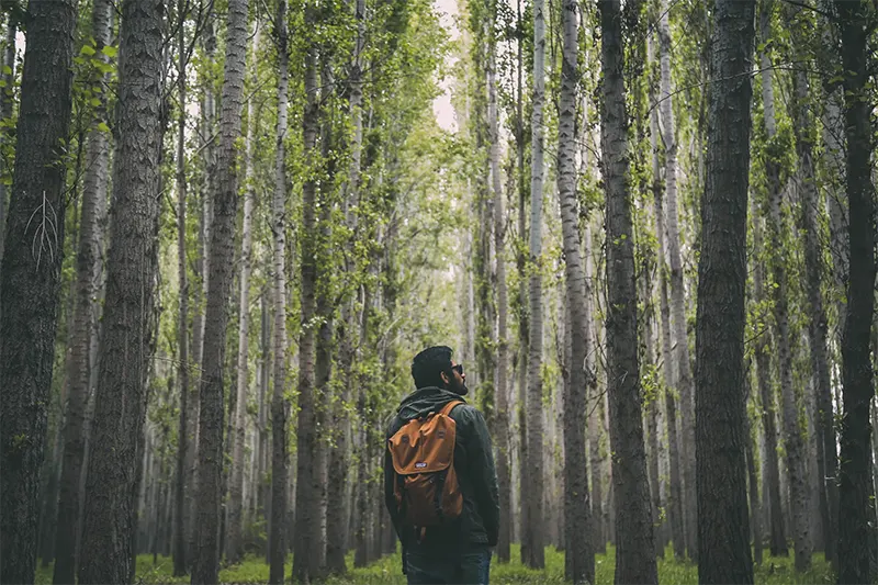 Should You Bug Out or Stay In Place?