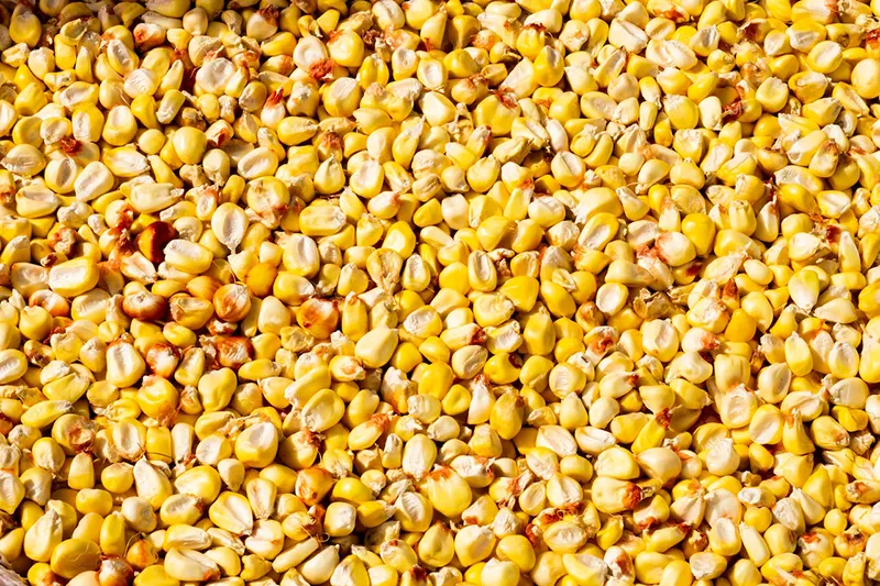 How Long Can You Save Seeds? Best Practices & Tips