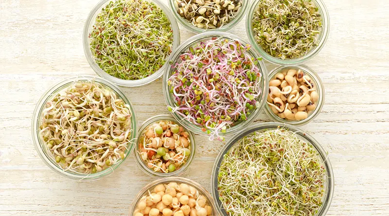 How To Sprout Seeds In A Jar: A Quick Guide