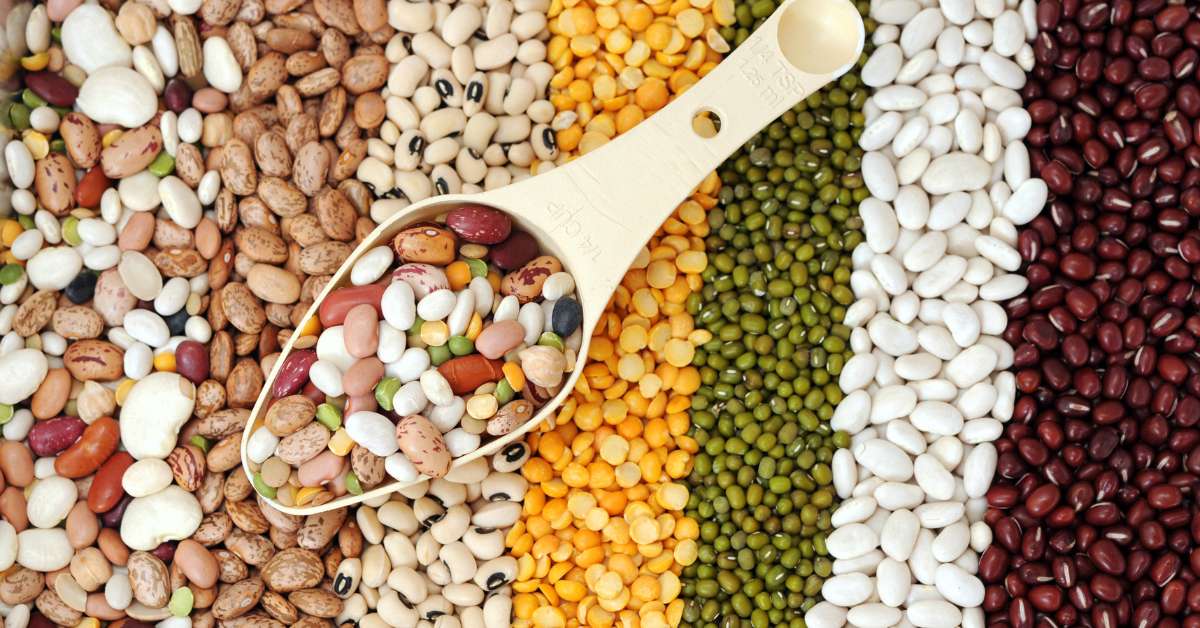 A mix of different types of beans for long-term storage.