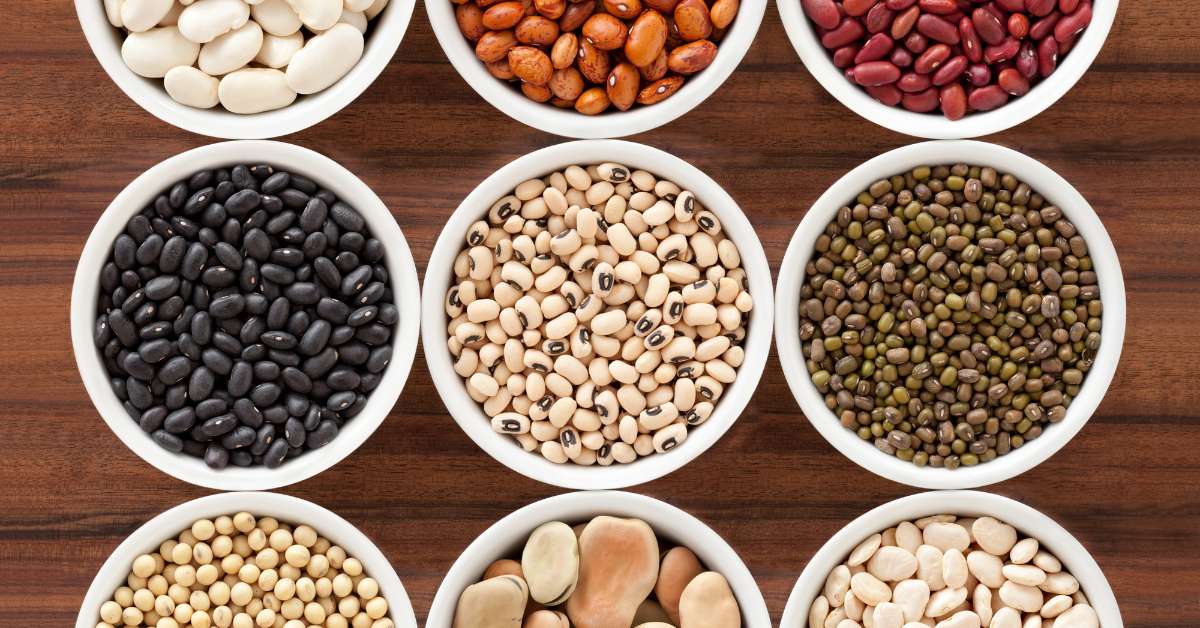 Bowls of different types of beans for prepping.