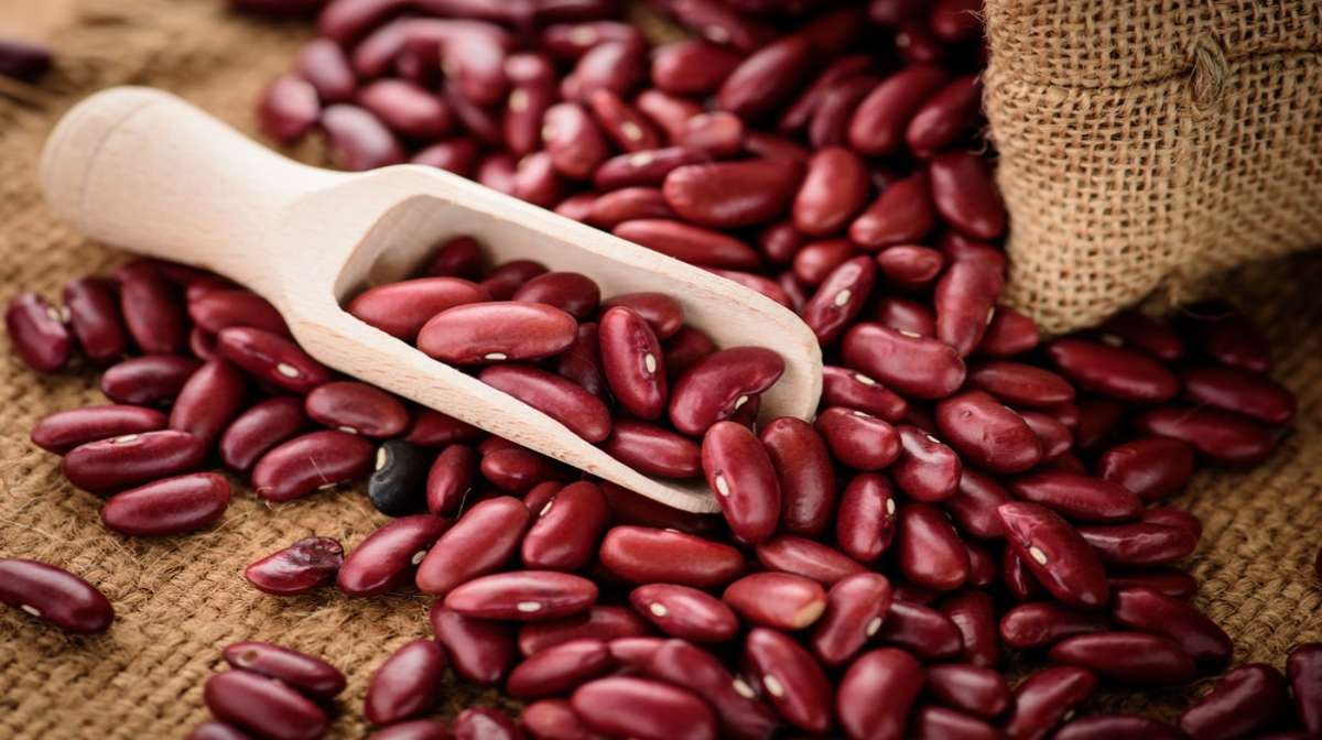 The best beans for prepping Red kidney beans