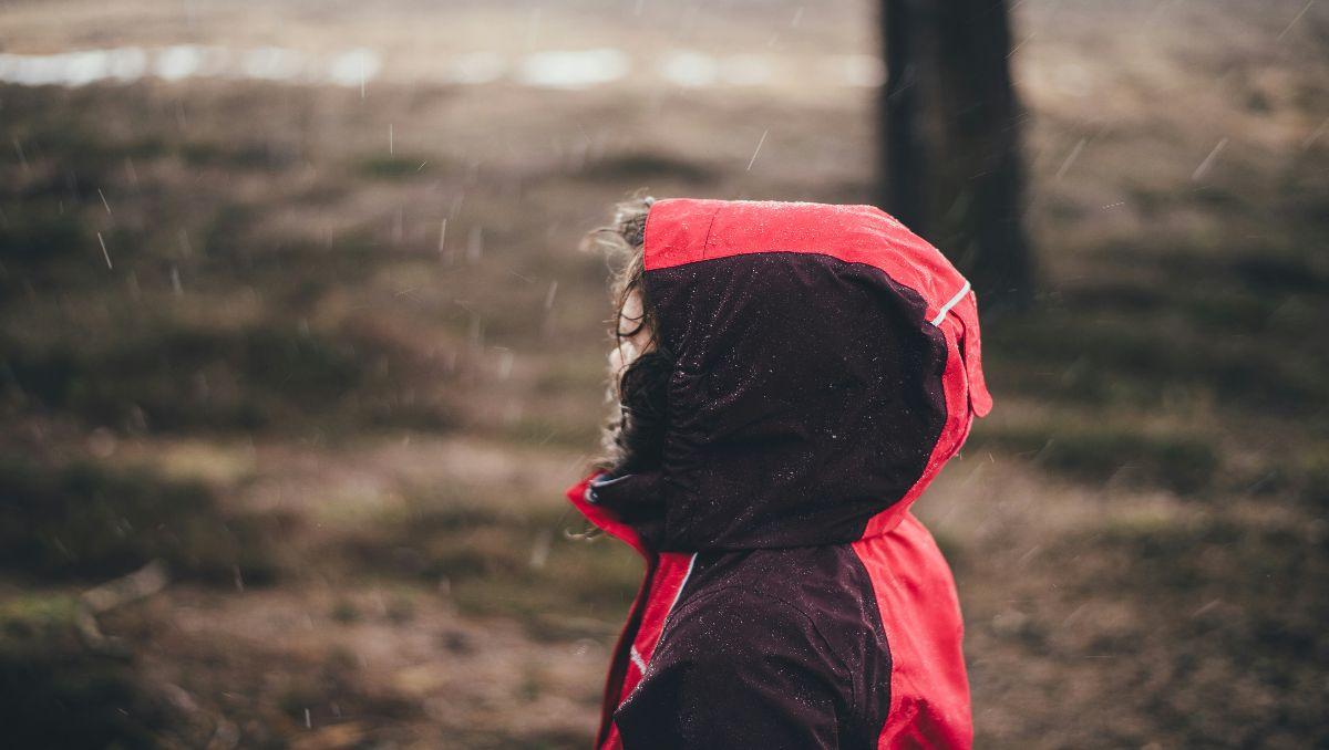 A person in red and black hooded jacket standing in the raining forest.